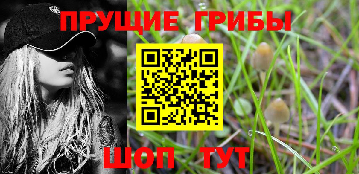 Галлюциногенные грибы Cubensis Братск