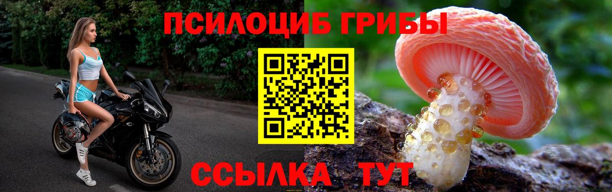 Псилоцибиновые грибы Psilocybe  Вход с VPN  Братск  Галлюциногенные грибы Cubensis 